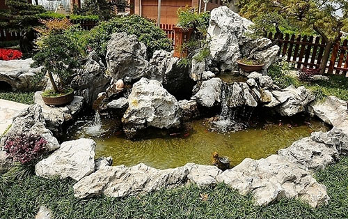 院子假山水池